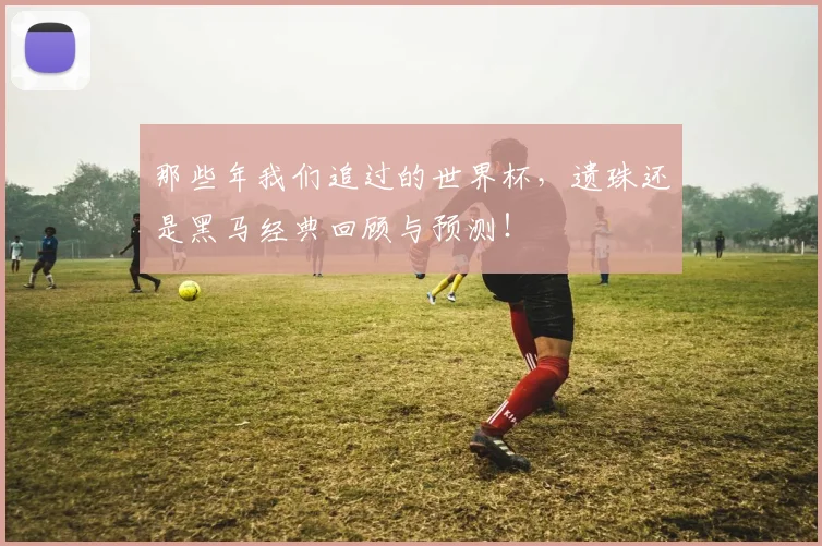 那些年我们追过的世界杯，遗珠还是黑马经典回顾与预测！